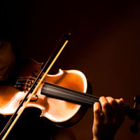 violon violon
