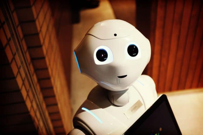 robots robots